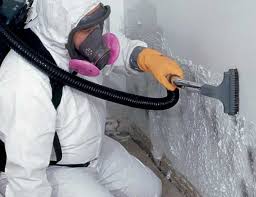 Best Comprehensive Air Testing for Mold Contaminants in USA